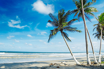 Strand Halbinsel Yucatán