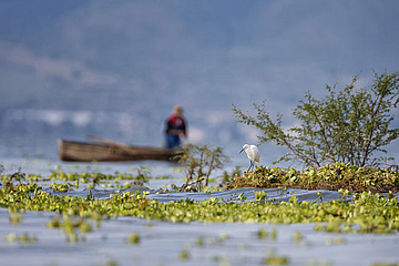 Chapala See
