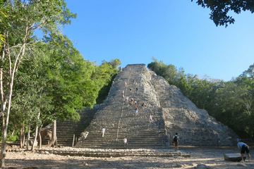 Cobá