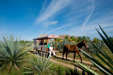 Kutschfahrt Hacienda Sotuta de Peón