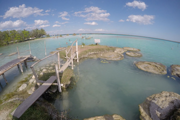 Bacalar Cocalitos