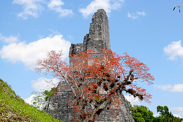 Tikal