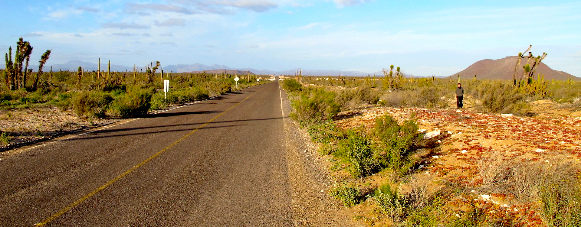 Eine unbefestigte Straße durch die teils wilde Landschaft der Baja California Sur